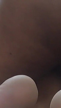 Let Me Suck Your Cock Darling