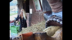 Muschi movie official: The Stable Boy Wildly Fucks a Blonde City Slut