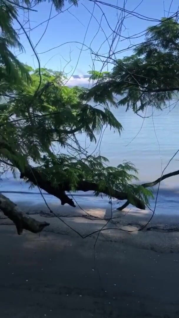 Espuleta: Ich zeige meine muschi in Angra Dos Reis - Brasilien - gemeinsamer...