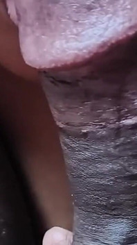 Thổi kèn và đụ âm hộ