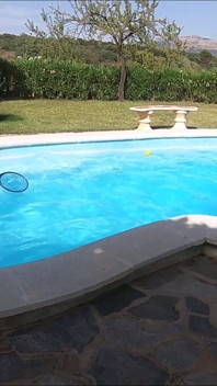 Anyone for Pool Tennis