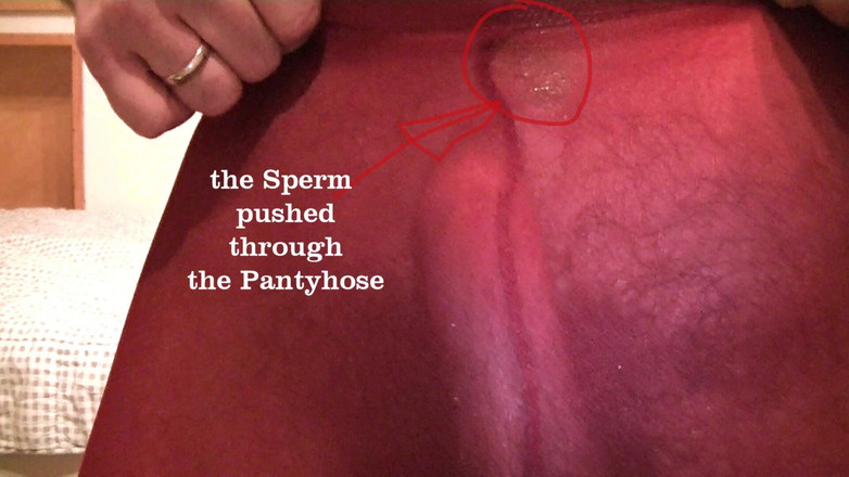 Mark Hannes: Meia-calça Corcunda Masturbação