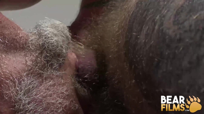 Bear Films: BEARFILMS - Pierced Tony Zucchero banged before cum spraying