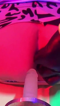 Toypleasurexxx - mainan seks dubur Zebra