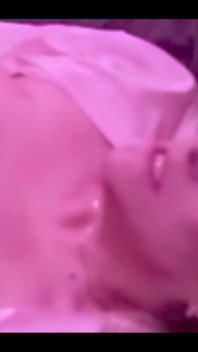 802964805961924608.mp4