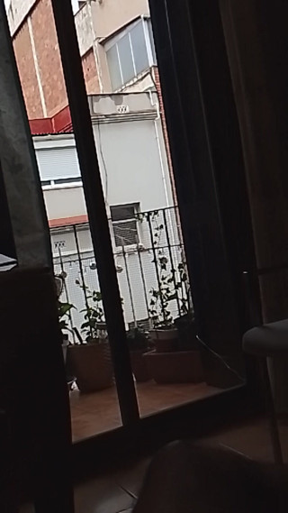 Beehive: Attraverso la finestra