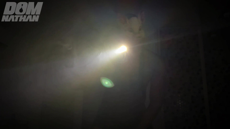 Smoker Master: Perverzní prase Pprs Odpočítávání A Pokyny