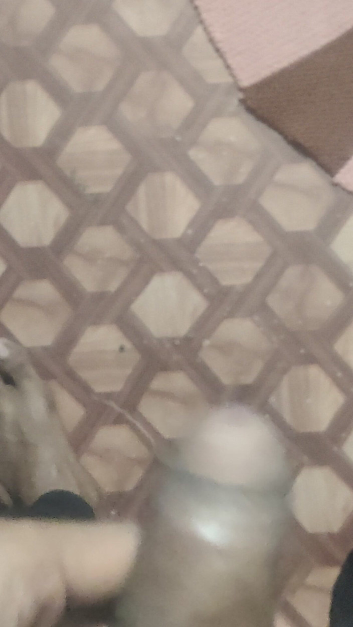 Gigolo Tv: 你是我唯一的爱人