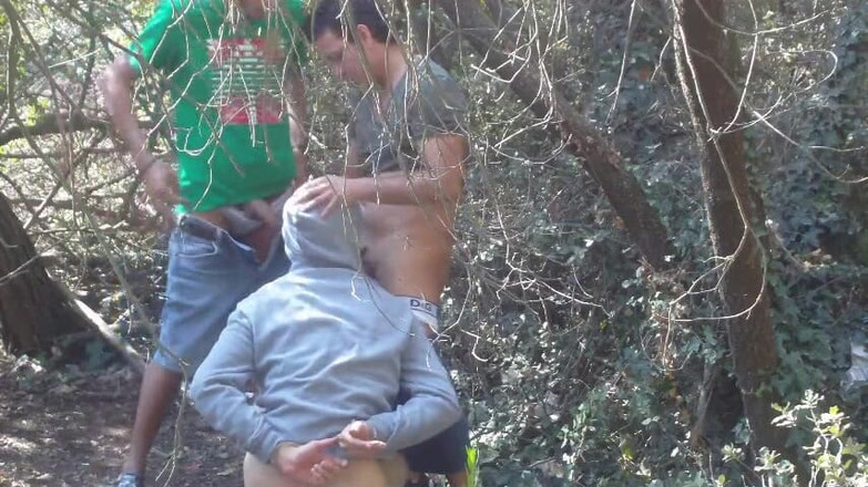 Amadeus studio: En croisière, nous avons trouvé un livreur UPS