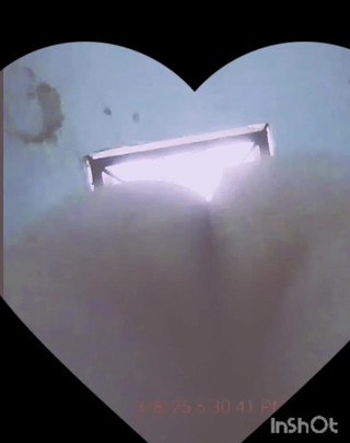 Babykierover: Posing My Ass. स्पंदनशील