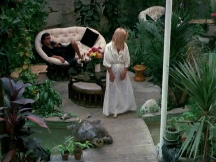 Java Consulting: Morgane on the Souch: 69 dan Cumshot.