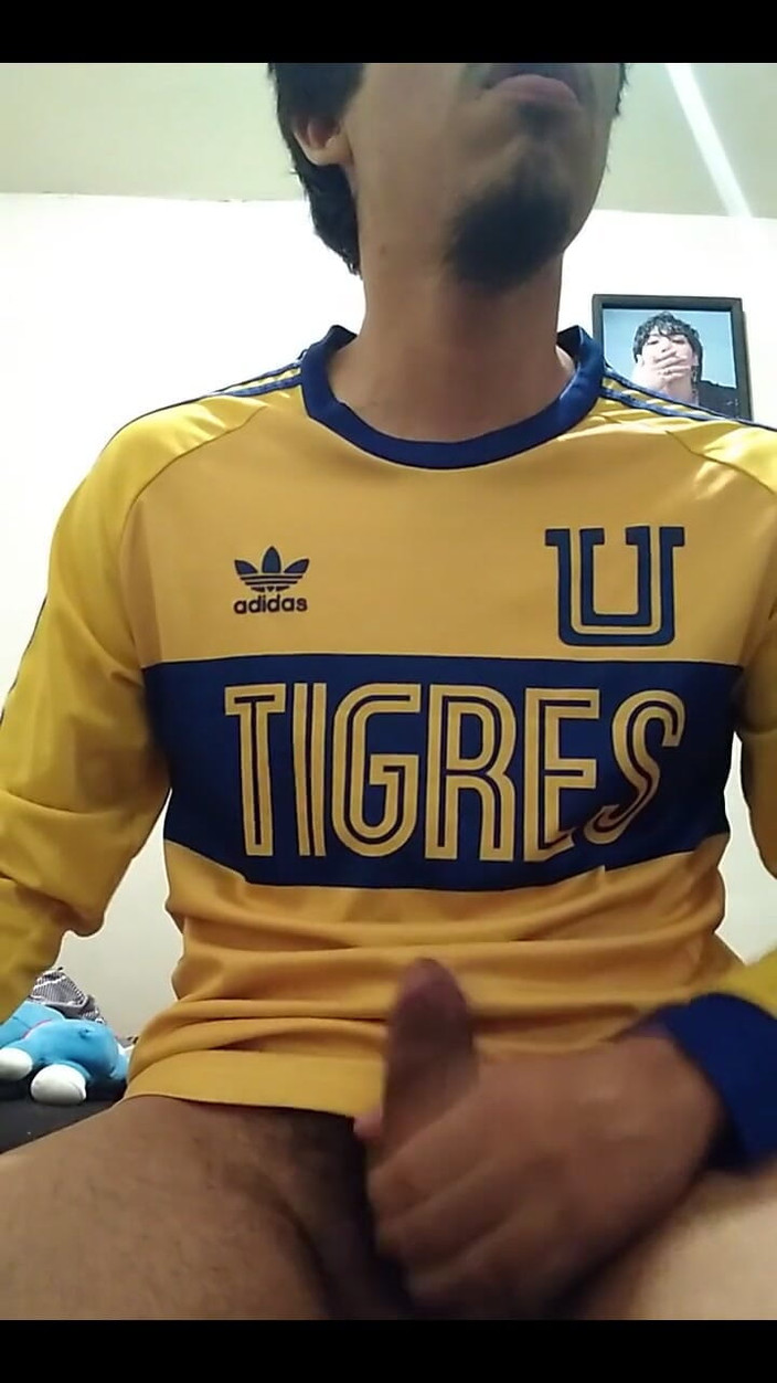 AlexAlejandro13: Komm, Tigres, ich komme reich zurück.