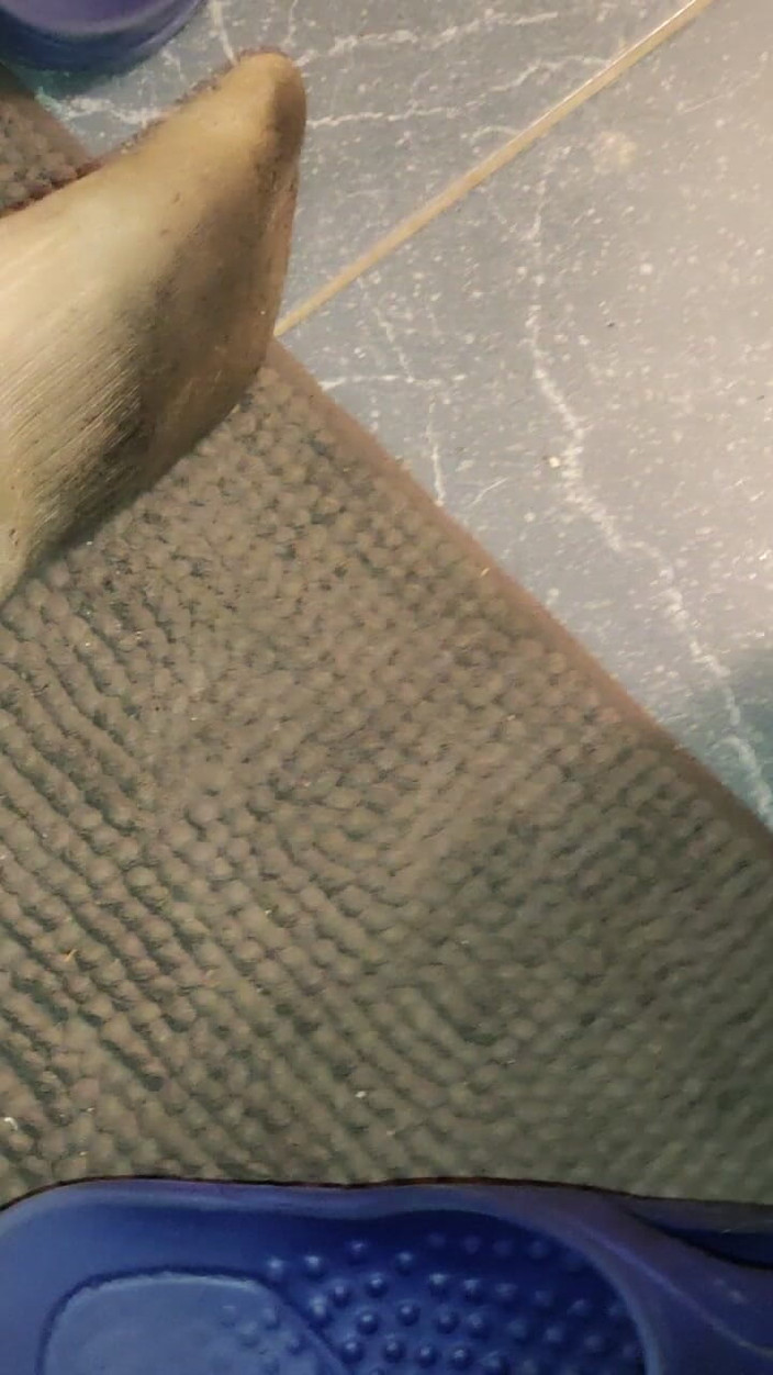 SmokedAlloy2: Hamer!! Kijk eens wat de Dj-bro