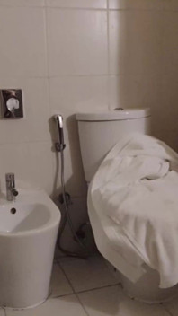 A MILF Wife Masturbates in the Bathroom and Cums Twice. Full Scene. Ep 24301