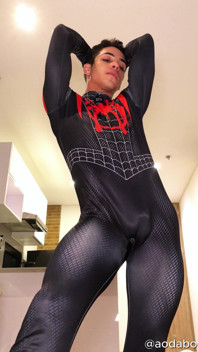 Traje Del Hombre Araña Y Poses