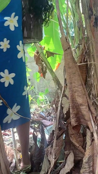 Dorința care a apărut când am fost în pădure de a aduce ceva la cook.