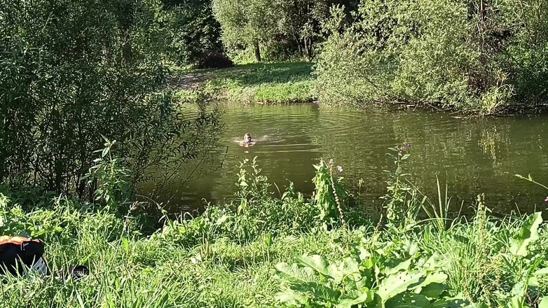 kickerscooter: Nakenstrand