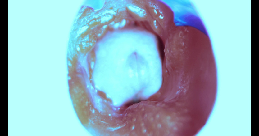 SEXY_GUYBEST: Hur jag knullar från insidan! Kameran inuti!