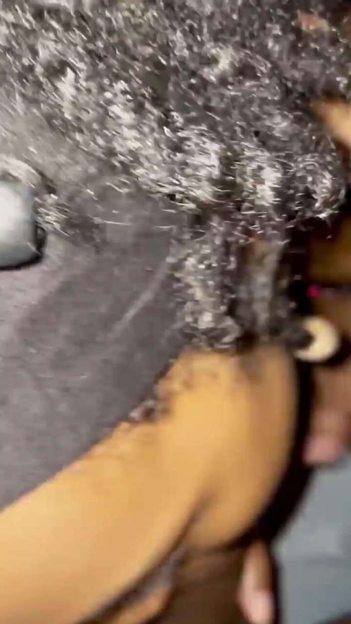 JOHTSRVA: O gagică sexy futută dur în pizdă neagră cu spermă