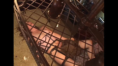 Porn4Life: Alles in de kont om af te maken