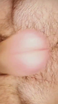 Will You Suck My Hairy Balls?