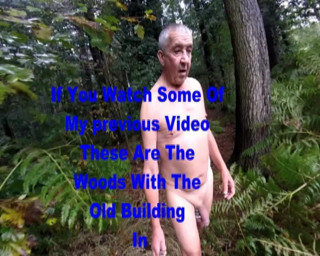 Andy: Rainy & Wet in the Woods