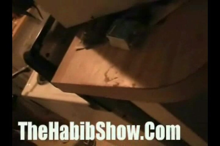 The Habib Show: The Habib Springer Show!