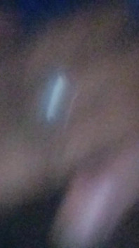 Desi Boy Penis