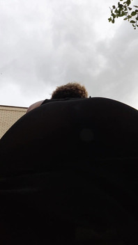 Bee's Anal Illumination