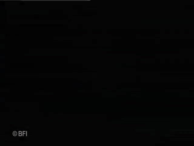 Amazing asses and pussies: Членососки і вершники для члена - dvd