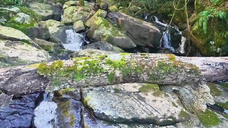 Black Swan: Милфе лижут ее киску и трахают у реки