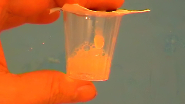 Mark Hannes: フレッシュライトテーブルファックオナニー