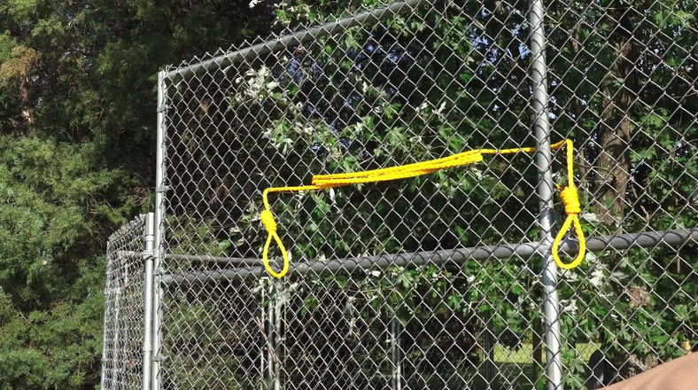 Colby Knox: En tapp och hans valp