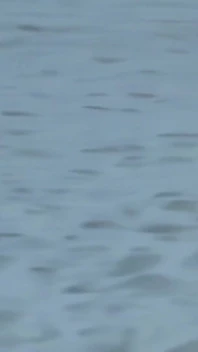 Anastasia Kass Peeing on the Beach