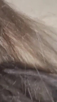 Vystříkal jsem se do své nevlastní sestry, šukali jsme po hodině