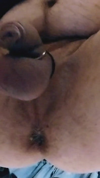 Park and Ride Breeding.