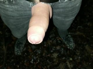 Idmir Sugary: Thick Pulsating Cock Cumming 2 Times in One Evening Outdoor