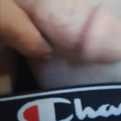 Ruggidron: Cham Pee on