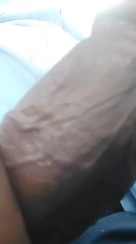 Quente pau indiano