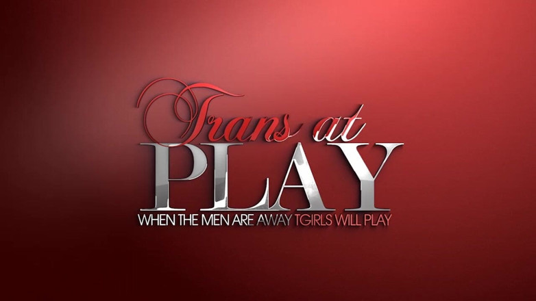 Trans 500: Sô cô la Strokin'