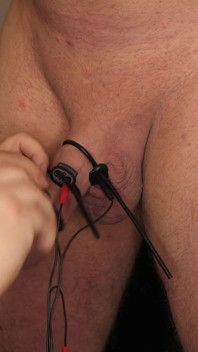 CBT-Pegs und Estim