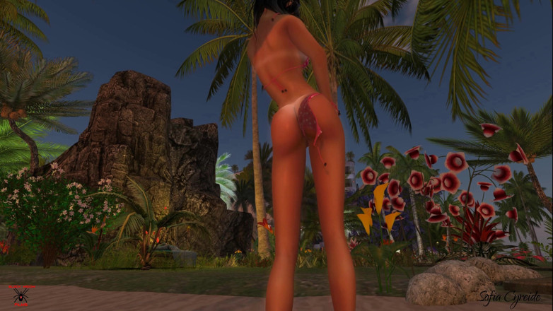 Black Widow Films: Plaj striptizi tam