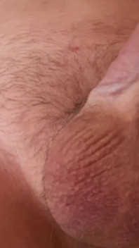 Morning Masturbation of the Penis Before College