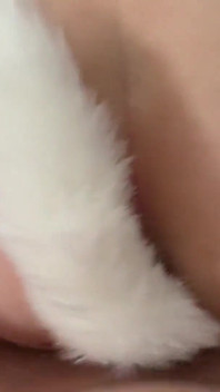 Fucking a Real Girl in a Fox Costume, Blowjob and Facial Creampie