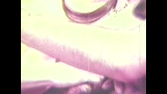 Vintage megastore: ダーティ・ピッグ