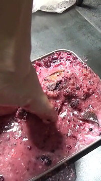 Je fais pipi dans ton gâteau et je le piétine avec mes pieds