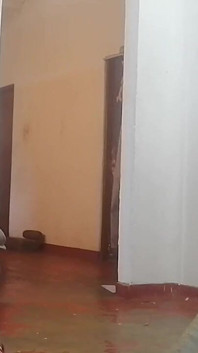 Une desi suce la chatte