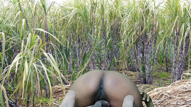 Rakul008: Трах у полі цукрової тростини