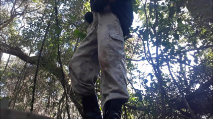 Stink HairyMale: Misi di hutan (V000014)