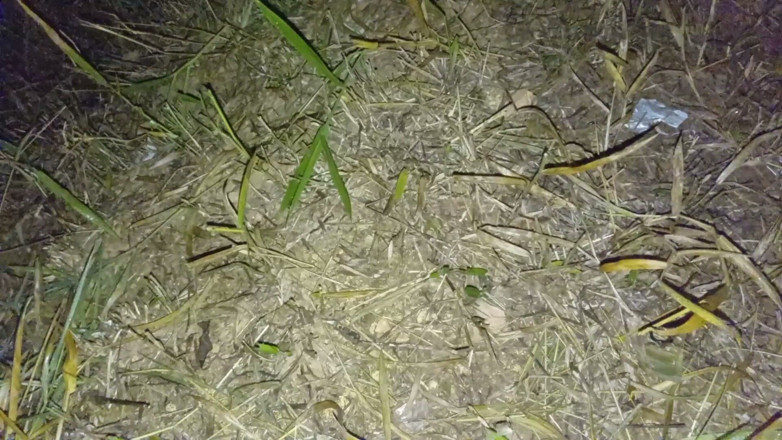 Sano lado: Nepali tía amante noche de sexo estilo perrito video nepali...